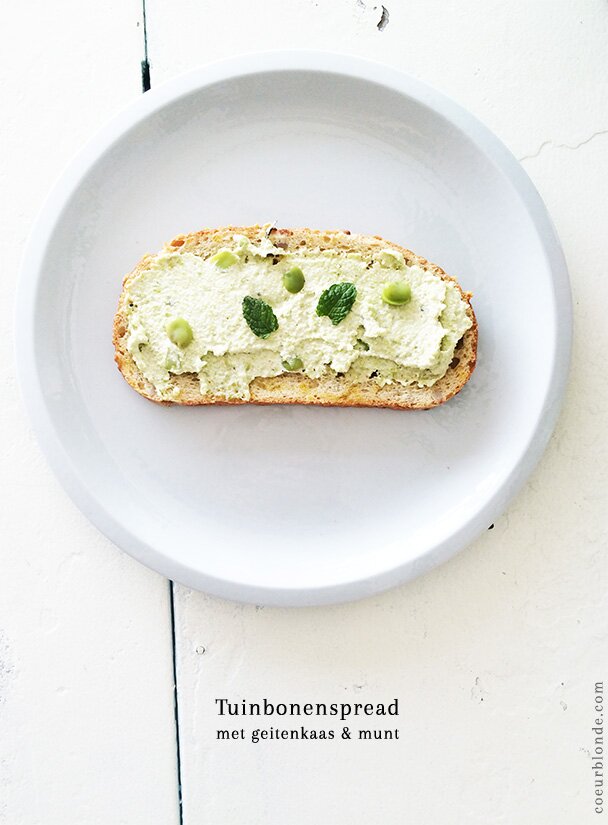 Tuin_4